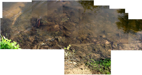 Composite photograph of timbers