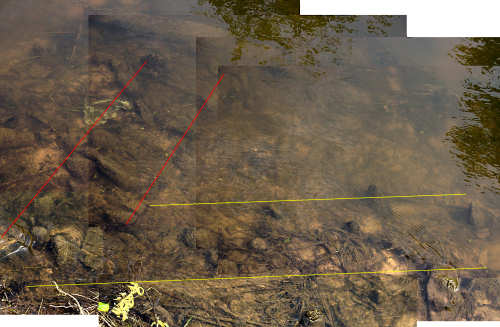 Closeup of timbers indicating new timbers