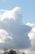 A face in the cloud