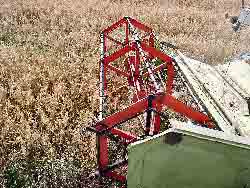 Cutter on front of combine harvester