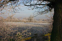 Frosty view across fields