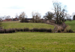 March 3rd to March 4th