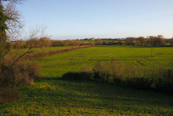 View of Middle Meadow from top of Middle Banks