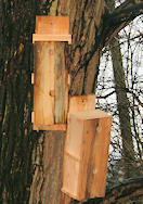 New nest boxes