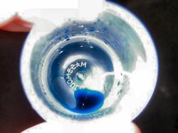 Sample pot showing blue preservative