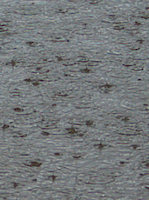 Raindrops on water