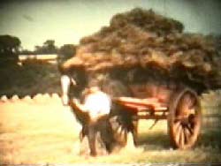 Carting the Sheaves