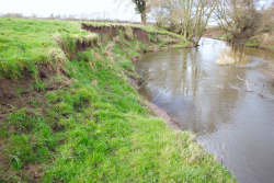 Righthand image of stereo pair