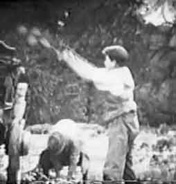 Tossing Swede's ito the cart