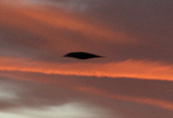 Is it ET? Is it a Stealth plane? No its a Jackdaw