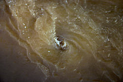 Whirlpool in the Dane